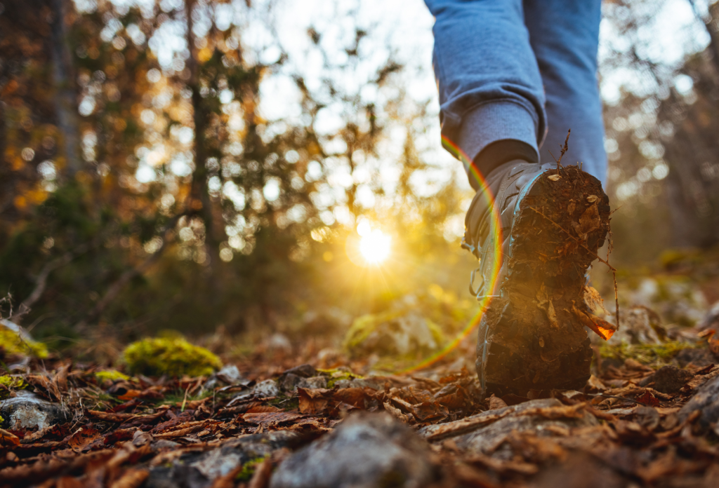Primer plano de una bota de senderismo caminando en Valdeluz por un bosque con hojas secas durante un atardecer soleado.