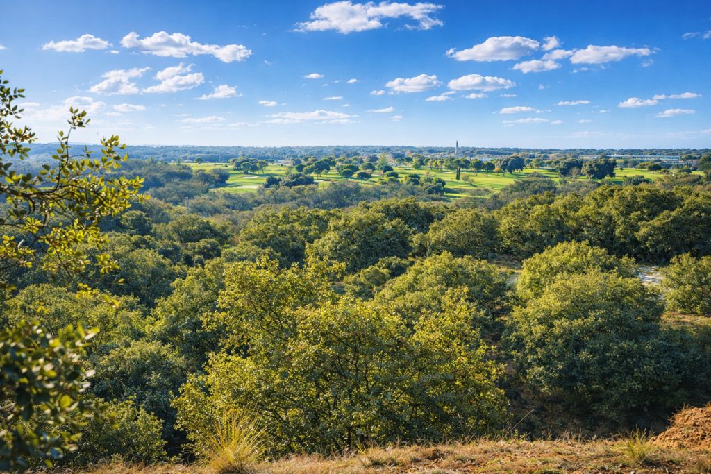 Paisaje panorámico de las zonas verdes de Nueva Valdeluz con un frondoso bosque de encinas con el campo de golf de Valdeluz al fondo bajo un cielo azul despejado.