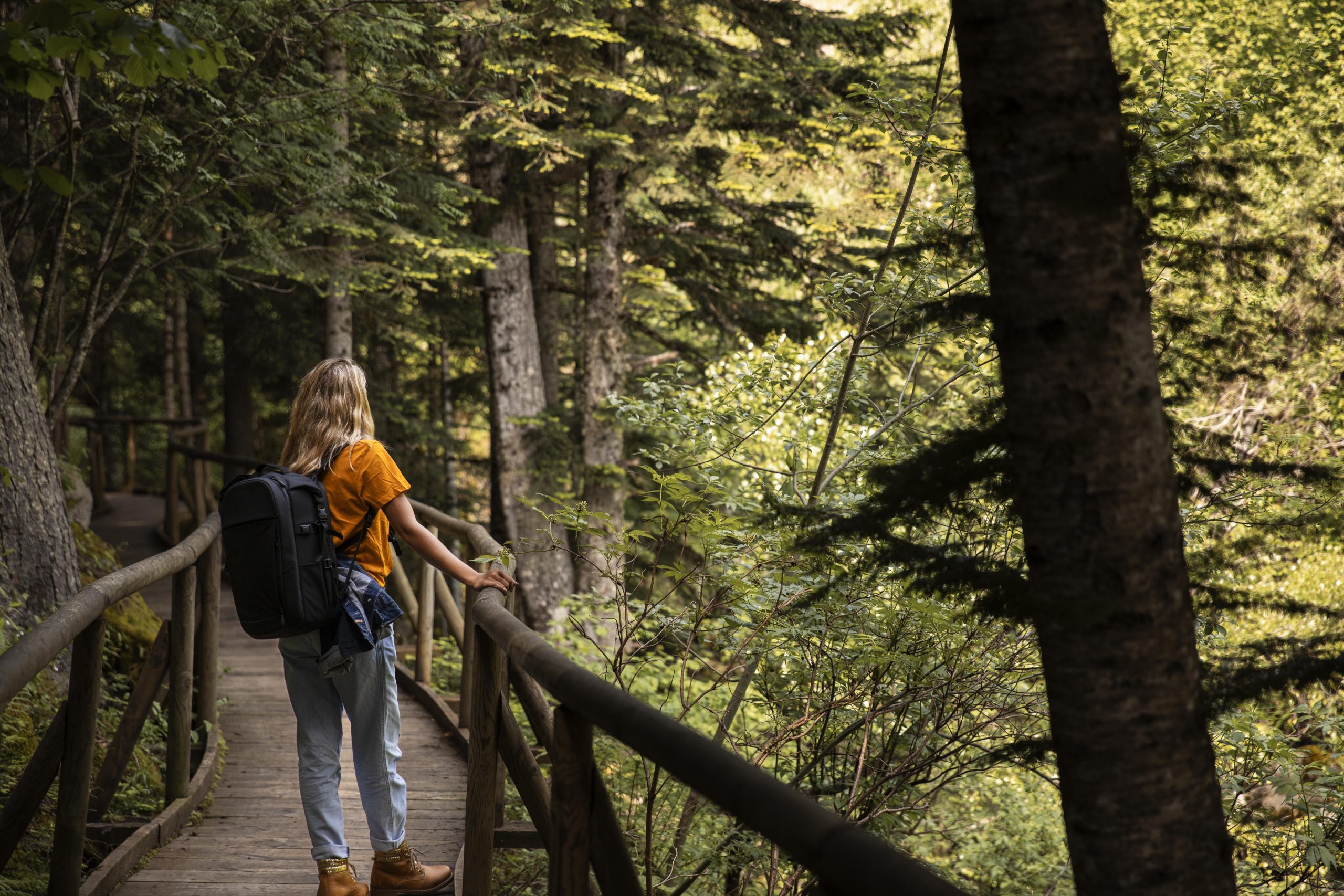 Una excursión al bosque como plan de verano perfecto
