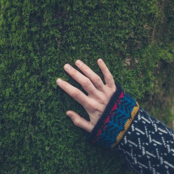 The hand of a young woman touching the moss on a tree in the autumn