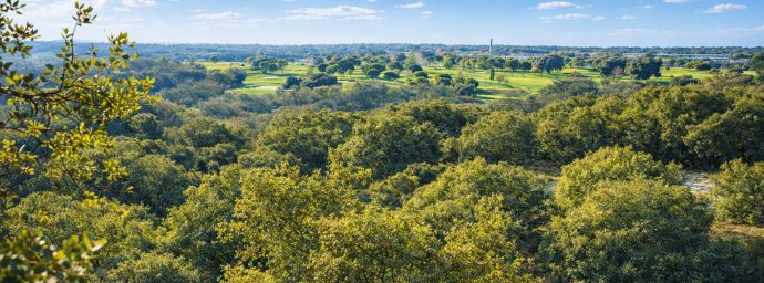 Paisaje panorámico de las zonas verdes de Nueva Valdeluz con un frondoso bosque de encinas con el campo de golf de Valdeluz al fondo bajo un cielo azul despejado.