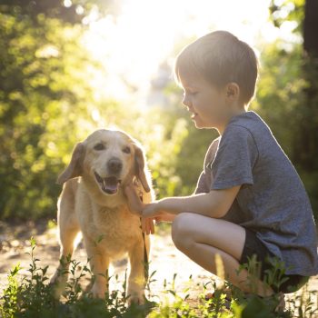 full-shot-kid-petting-dog-outdoors